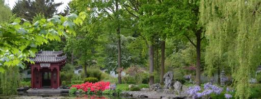 Hortus Botanicus Haren