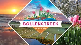 Bollenstreek